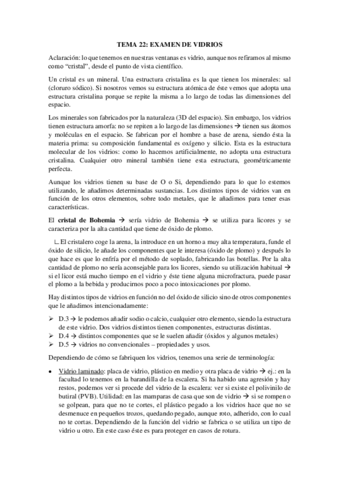 TEMA-22-.pdf