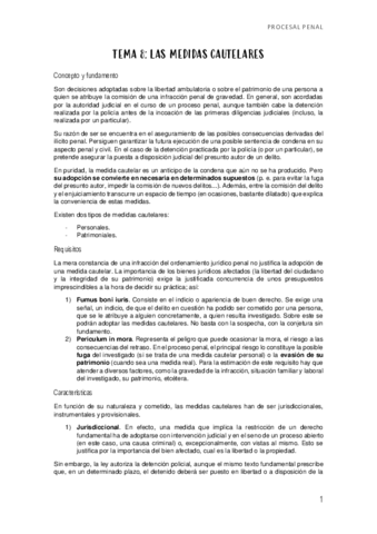 TEMA-8-MEDIDAS-CAUTELARES.pdf