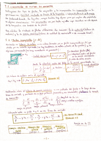 Tema-5-COMPACTO.pdf