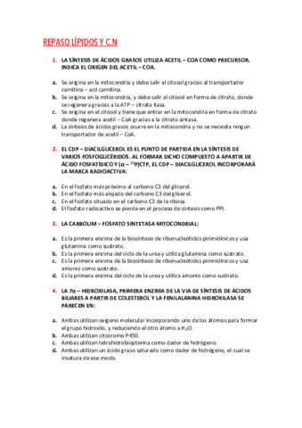 REPASO-LIPIDOS-Y-CN.pdf