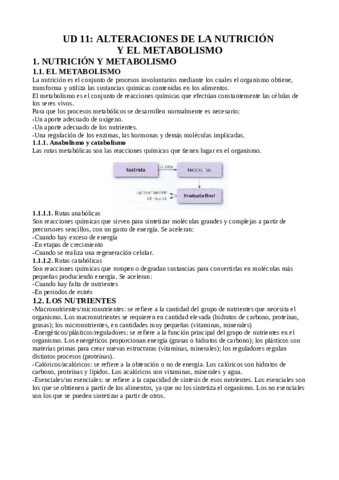 TEMA-11-ALTERACIONES-DE-LA-NUTRICION-Y-EL-METABOLISMO.pdf