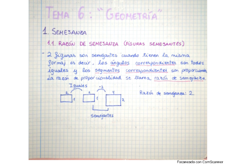 Semejanza-y-trigonometria-1-parte.pdf