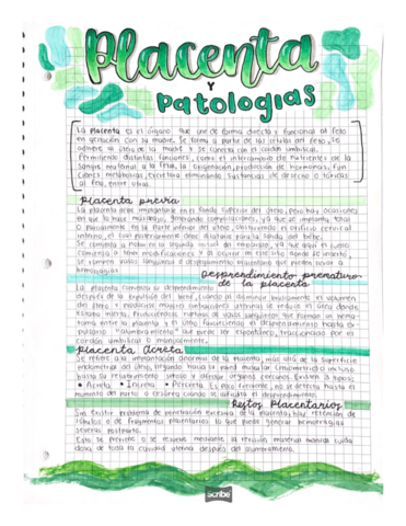 Placenta-Y-Patologias.pdf