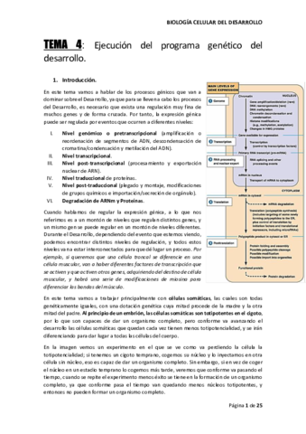 TEMA-4-BIO-DESARROLLO.pdf