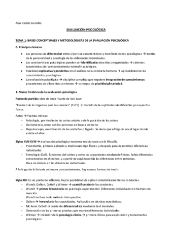 TEORIA-EV.pdf