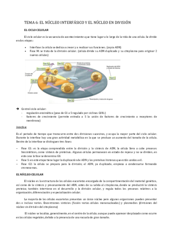Tema-6.pdf