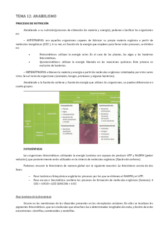 Tema-12.pdf