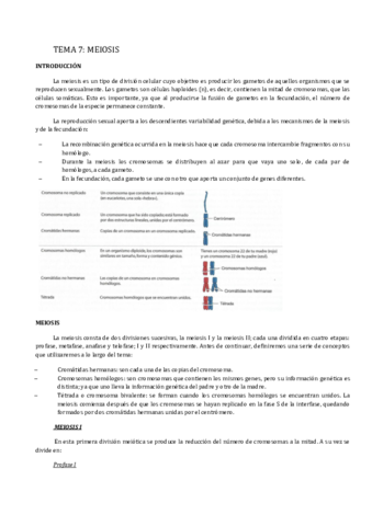TEMA-7.pdf