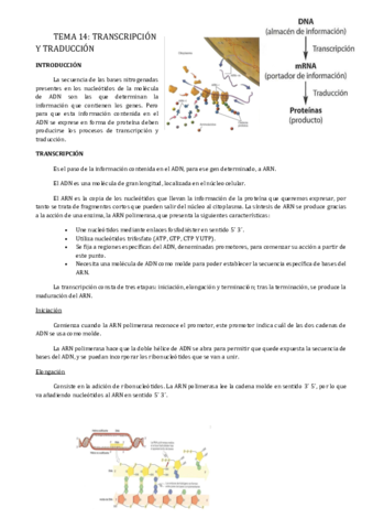 Tema-14.pdf