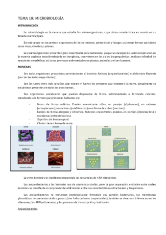 Tema-18.pdf