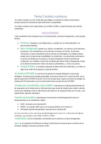 5.pdf