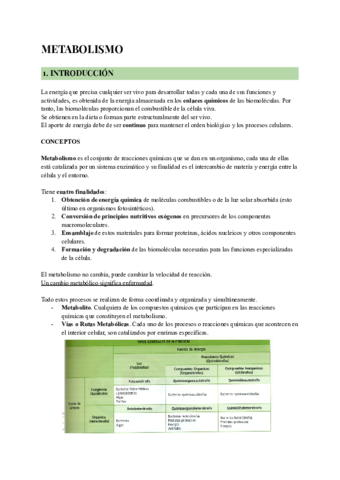 Bioq-Metabolismo.pdf
