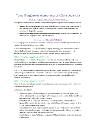 8.pdf