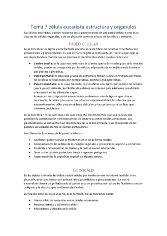 7.pdf