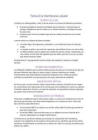 6.pdf