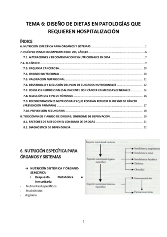 TEMA-6.pdf