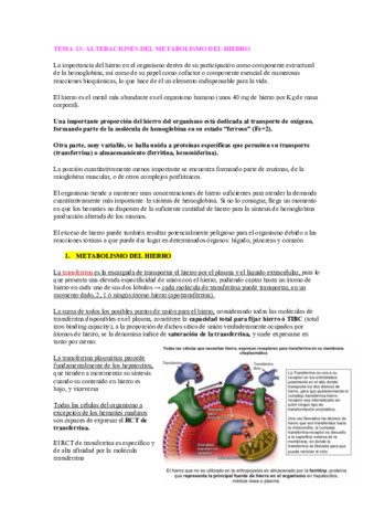 TEMA-13-17.pdf