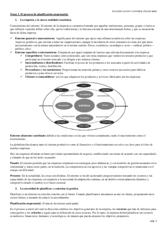 PLANIFICACION-TEMAS.pdf