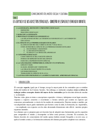 TEMA-2.pdf