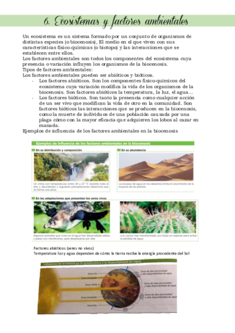 resumen-ecosistemas-I.pdf