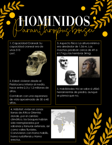 hominidos.pdf