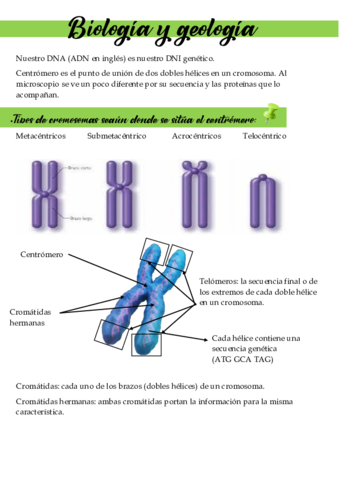 Apuntes introducción a la genética.pdf