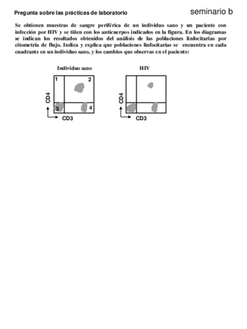 grupo-seminario-b.pdf