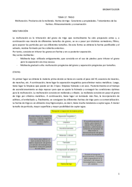 TEMA 17.pdf