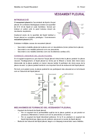 10-VessamentPleural.pdf