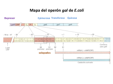 Ejemplo-Modelo-Estructurado.pdf