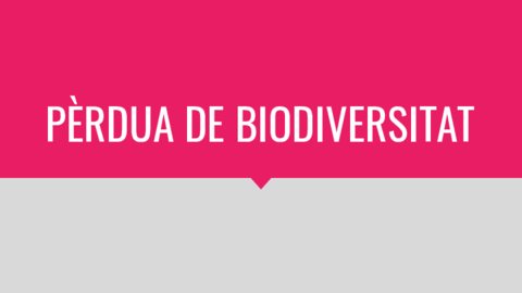 Perdua-de-biodiversitat.pdf