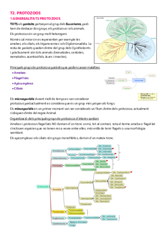 T2-PROTOZOOS.pdf