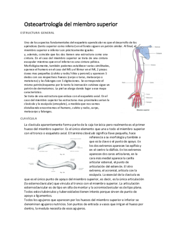 miembro-superior-completo.pdf