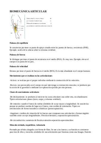 biomecanicarticular.pdf