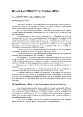 TEMA 17..pdf