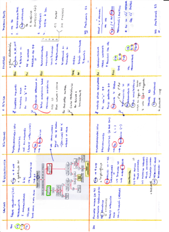 T10-11-VALVULOPATiAS.pdf