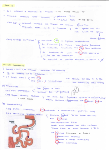 T5.pdf