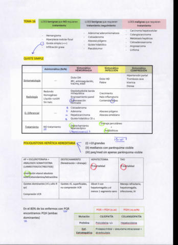 T16-23.pdf