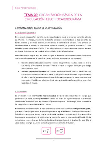 TEMA-20-ORGANIZACION-BASICA-DE-LA-CIRCULACION.pdf