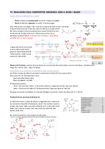 T5.pdf