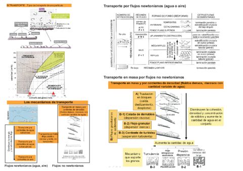 Tema-3Itipos-de-transporte.pdf