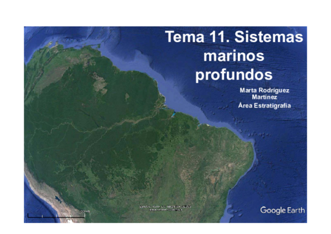 Tema-11-Modo-de-compatibilidad.pdf