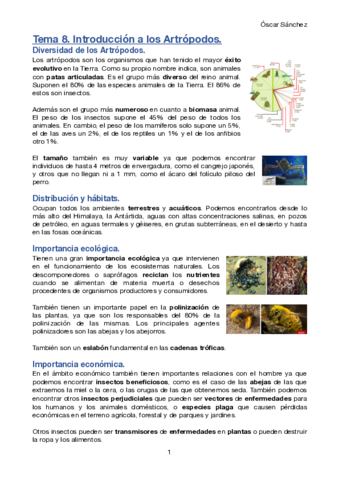 Tema-8-1-Zoologia-II.pdf