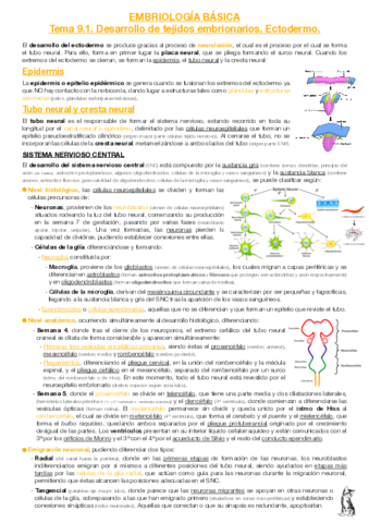 EB-T9-1-Desarrollo-de-tejidos-embrionarios-Ectodermo-.pdf