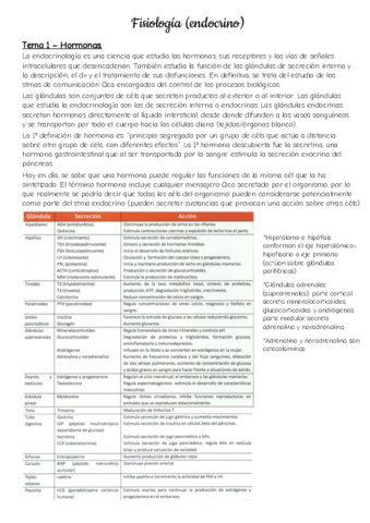 Endocrino.pdf