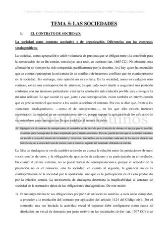 TEMA-5-Las-sociedades.pdf