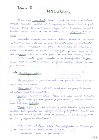 Tema 8 Moluscos.pdf