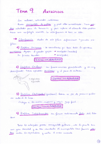 Tema 9 Artrópodos.pdf
