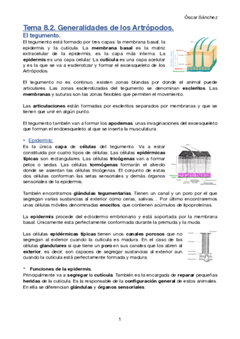 Tema-8-2-Zoologia-II.pdf