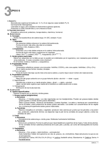 03Lipidos.pdf